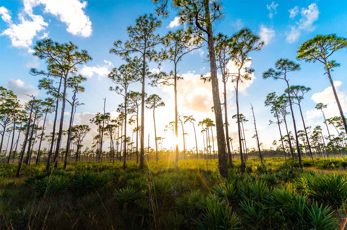 2,400-acre nature preserve with 10 miles of trails